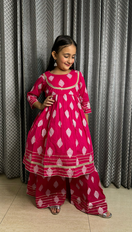 Pink Sharara Set